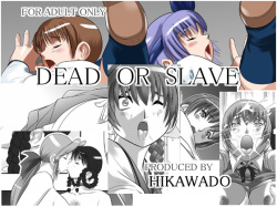 [Hikawadou (Hinokawa Jun)] Dead or Slave (Dead or Alive)